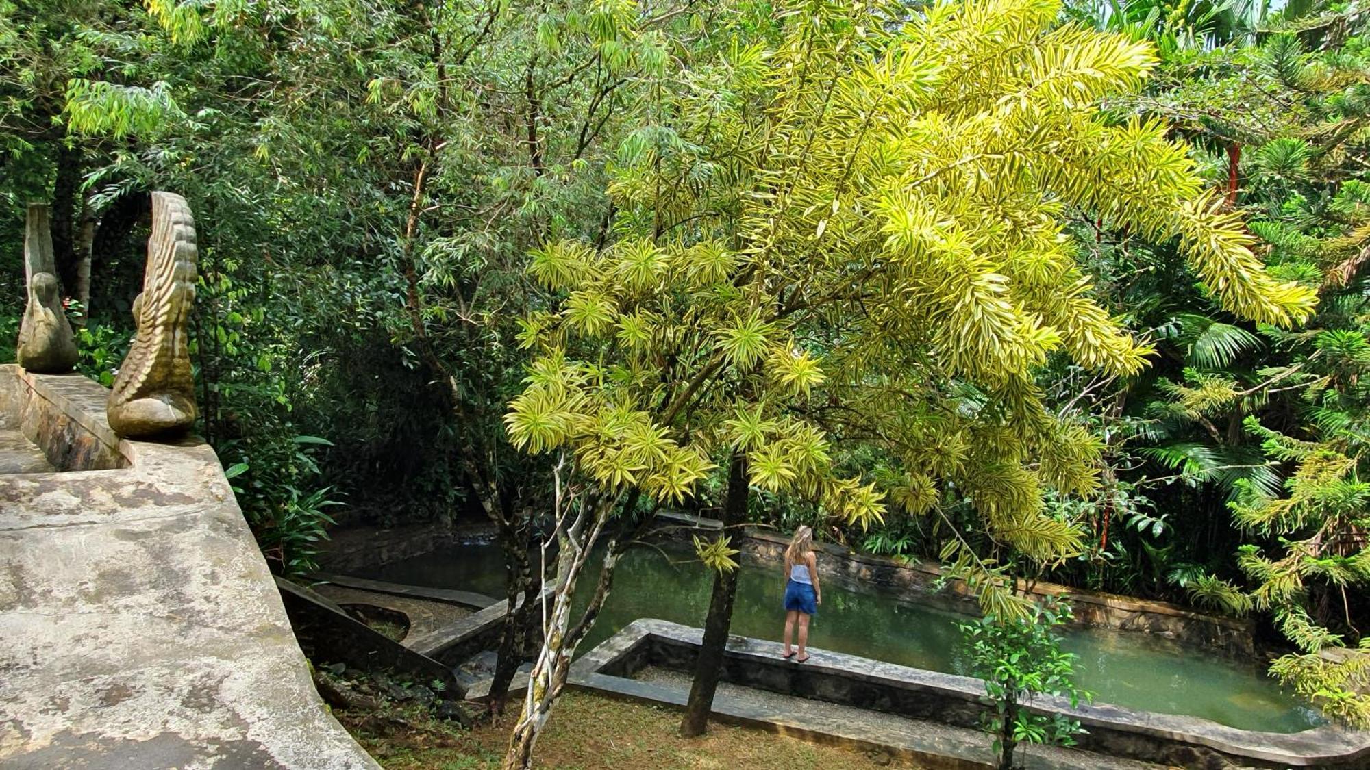 Singharaja Garden Agro Eco Lodge Pelawatta (Kalutara) Exterior foto