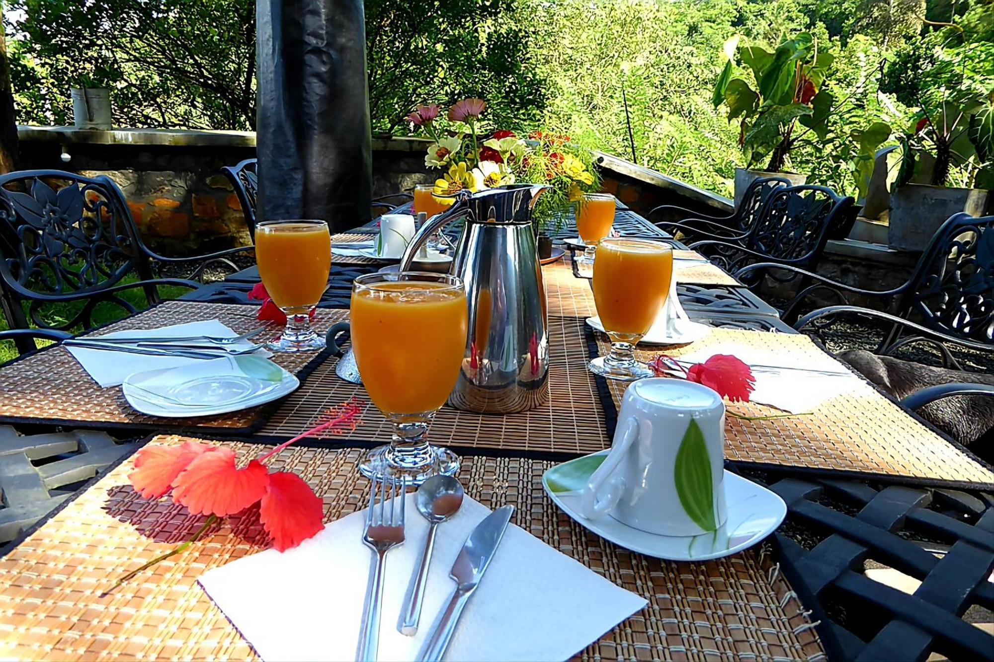 Singharaja Garden Agro Eco Lodge Pelawatta (Kalutara) Exterior foto