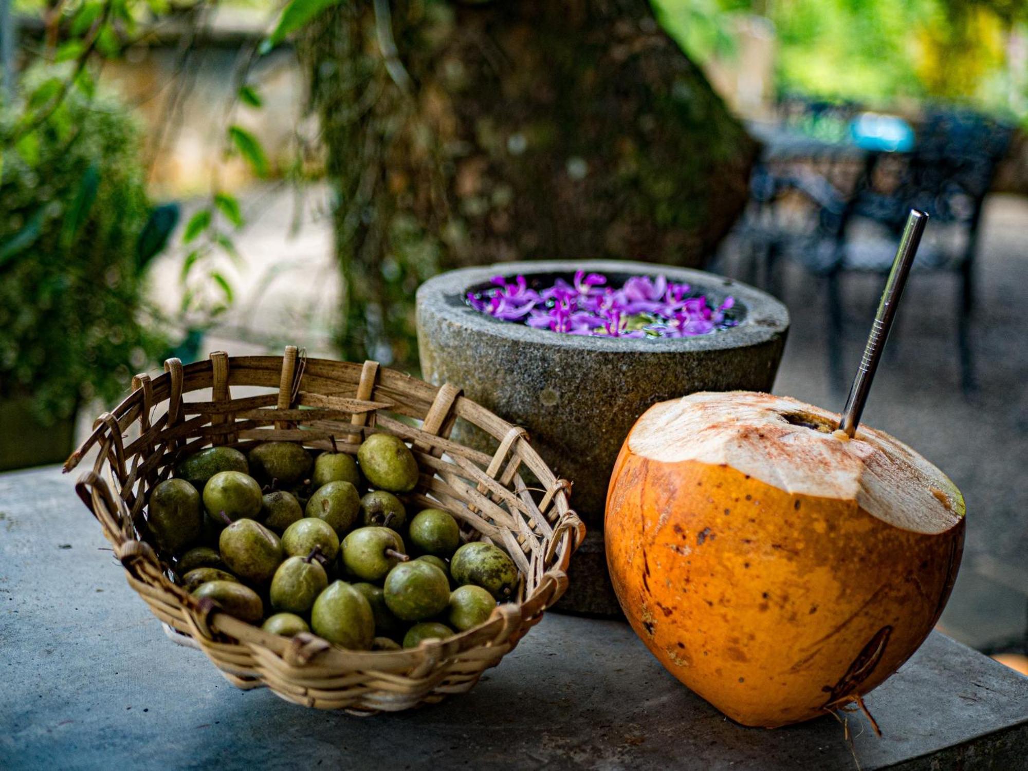 Singharaja Garden Agro Eco Lodge Pelawatta (Kalutara) Exterior foto