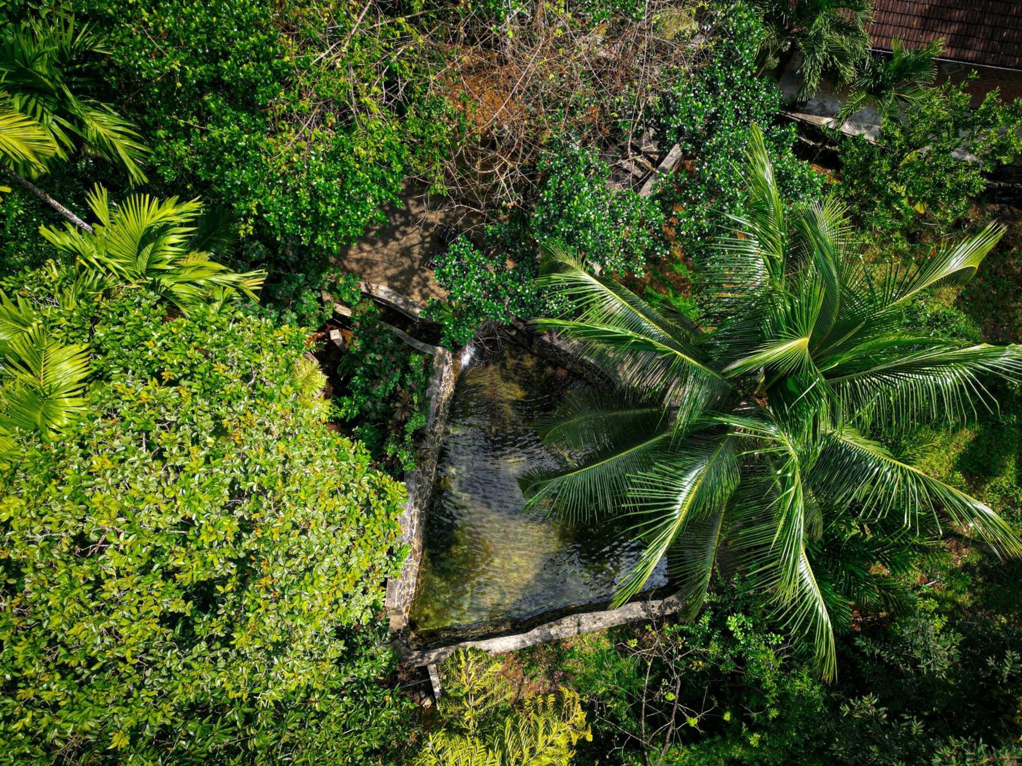 Singharaja Garden Agro Eco Lodge Pelawatta (Kalutara) Exterior foto