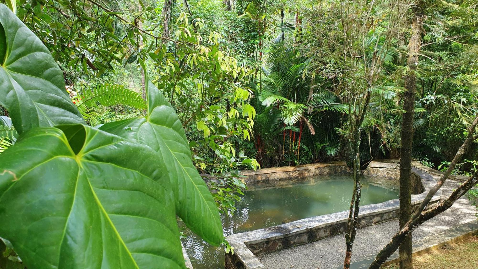 Singharaja Garden Agro Eco Lodge Pelawatta (Kalutara) Quarto foto