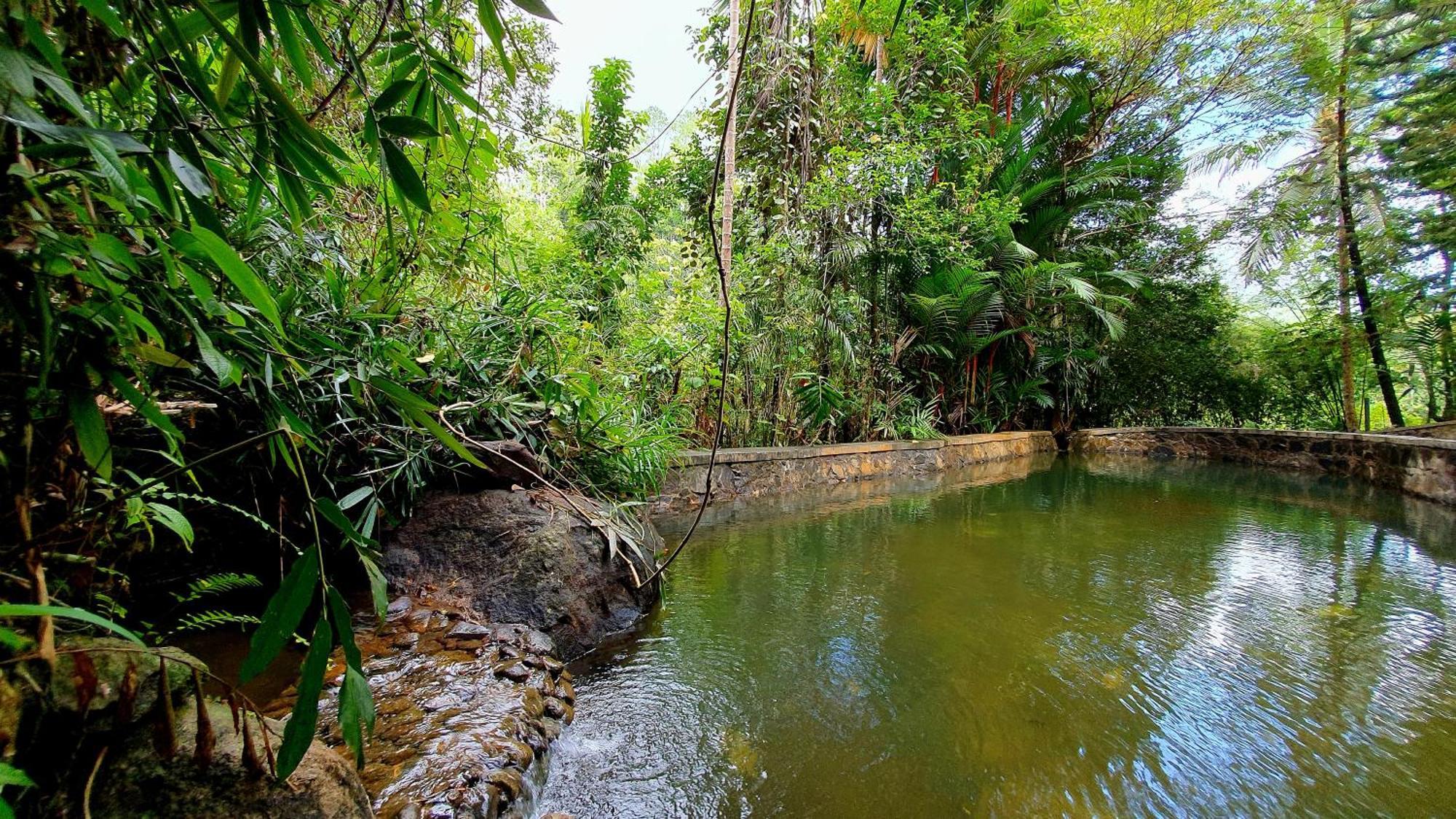 Singharaja Garden Agro Eco Lodge Pelawatta (Kalutara) Quarto foto